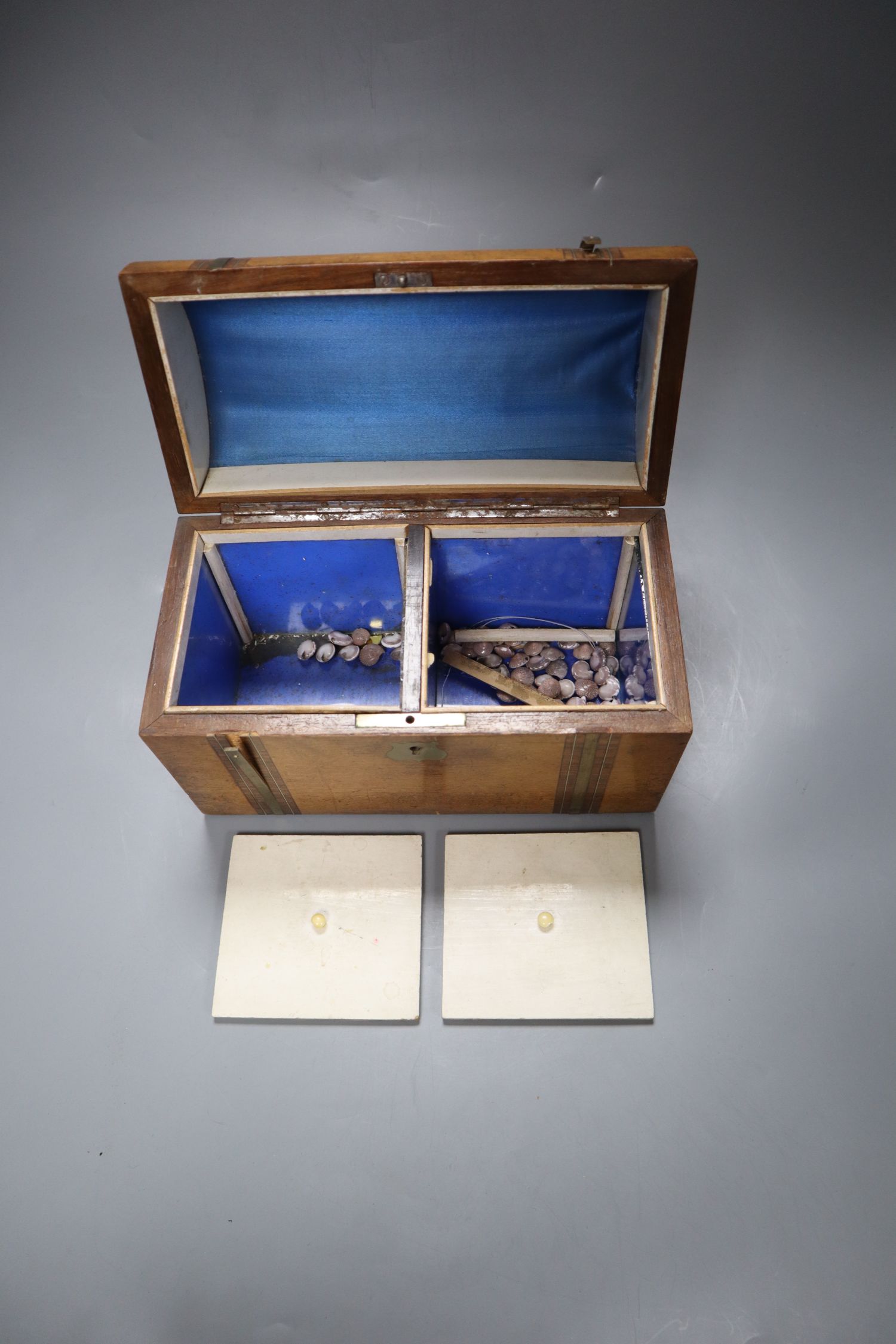 A Victorian domed topped inlaid and crossbanded walnut tea caddy, 23cm